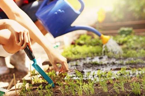 Patio cleaning equipment in action