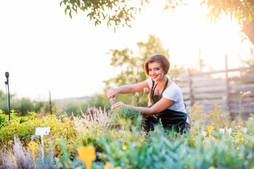 Lush garden managed by skilled gardeners with sustainable design