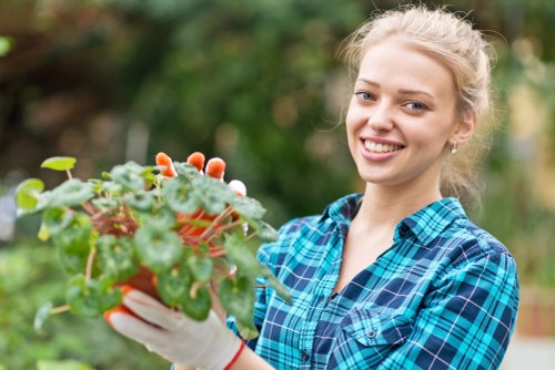 Residential and commercial landscaping in Holland Park