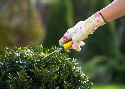 A professional landscaper designing a garden in Crews Hill