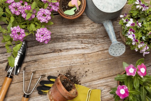 Expert landscapers designing a lush garden in Eden Park