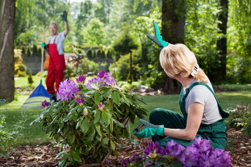 Eco-friendly landscape maintenance in New Malden