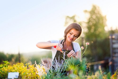 Lush garden in Limehouse showcasing expert landscaping design