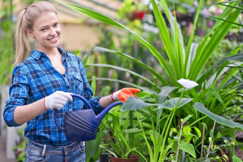 Professional landscaper designing a garden in Rainham