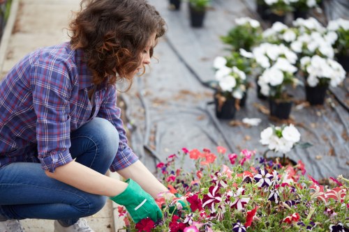 Lush garden featuring sustainable landscaping elements in Southgate