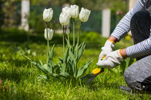 Landscapers planning an outdoor layout with creative designs