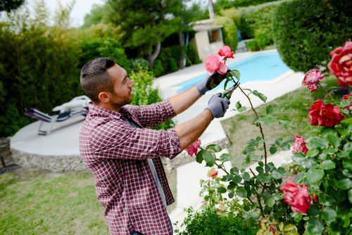 Professional landscapers working on a Keston yard