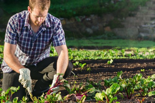 A modern lawn mower at work in a beautifully maintained garden.