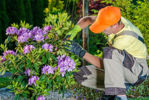 Eco-friendly landscape design featuring native plants