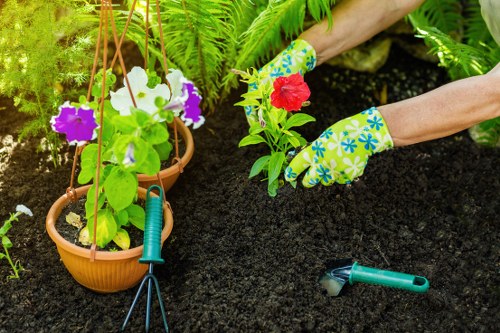 Vibrant garden landscape with lush greenery representing Greencarpet Landscapers.