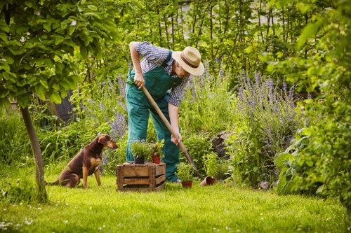 Expert garden maintenance and detailed design tools in use