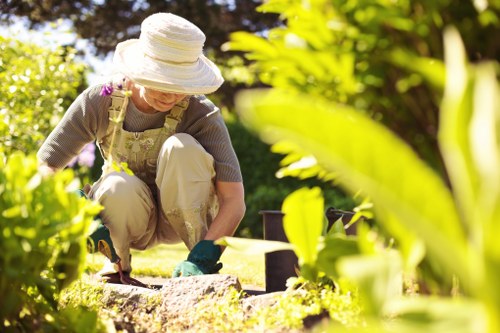 Highgate garden showcasing expert landscape design and natural beauty