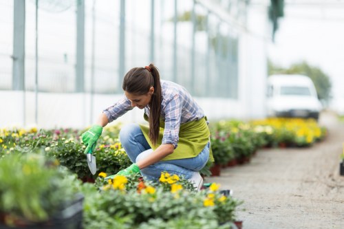 Professional landscaping tools and equipment at work