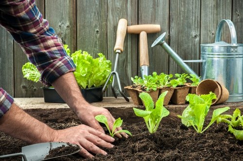 Expert team at work in a lush garden