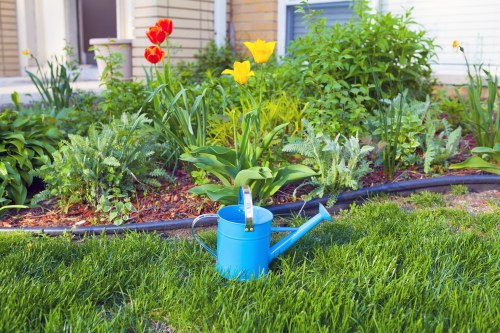 Local community enjoying a lush park in nearby areas enhanced by professional landscaping.