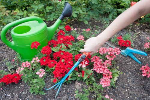 Skilled team of landscapers working on garden design