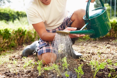 Eco-friendly landscaping elements including water features and native vegetation