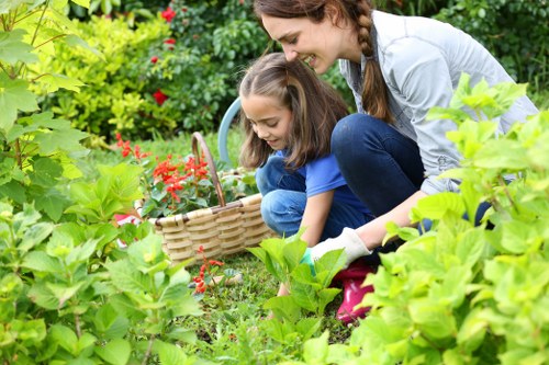 Vibrant green garden maintenance in Silvertown with thriving plants