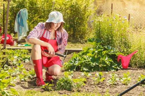 Expert landscapers planning a garden design