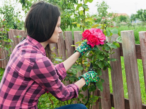 Professional landscaper reviewing garden design plans in Crouch End