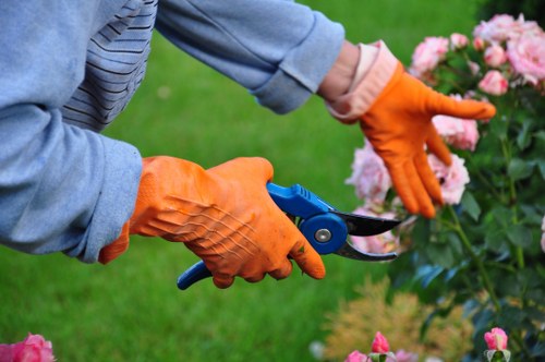 Sustainable landscaping techniques in local Pinner area