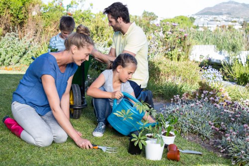 Professional landscaper planning outdoor space