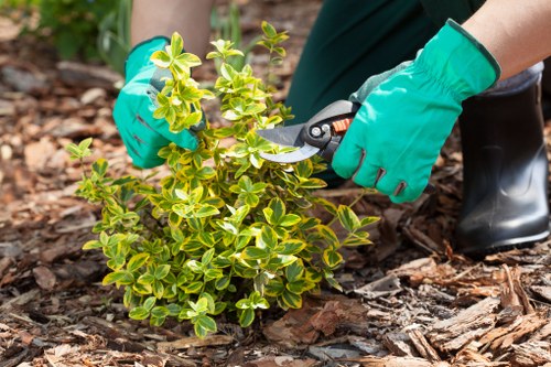 Professional landscapers working on a Vauxhall garden