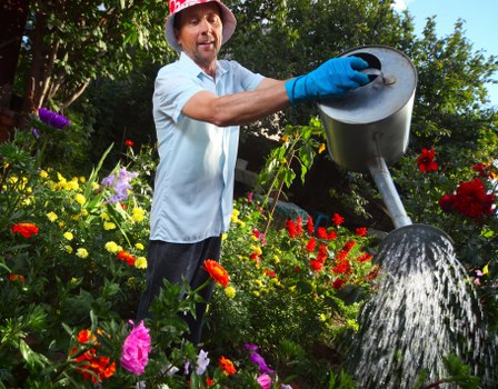 Sustainable landscape techniques used in a vibrant Ealing garden.