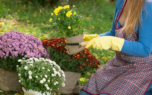 Commercial landscaping project in Hanworth