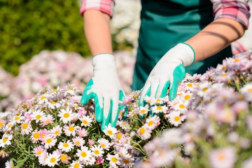 Modern hardscaping and garden design services by expert landscapers in Eltham