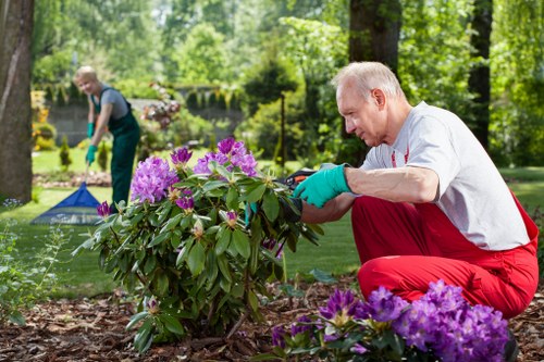 Modern technology in lawn care management