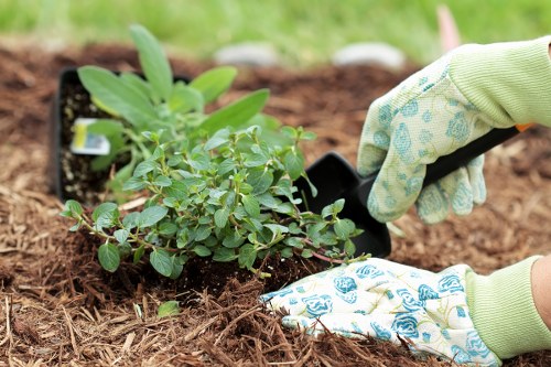 Local community-inspired landscaping in Cricklewood area