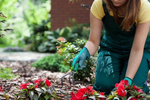 Skilled landscapers enhancing curb appeal with bespoke garden designs