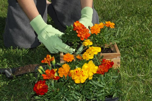 Professional landscapers at work on outdoor space