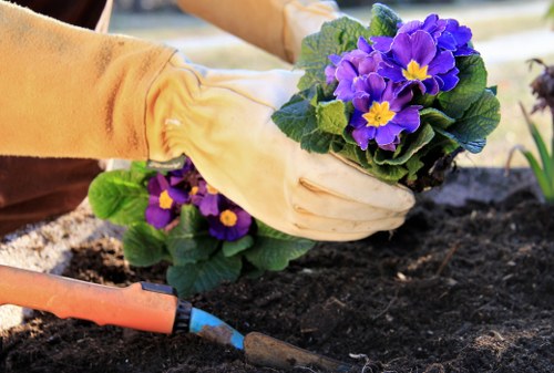 Eco-friendly garden design showcasing sustainable practices in Wallington landscaping