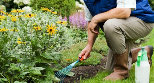 Professional landscapers discussing garden design in Petersham with innovative ideas.