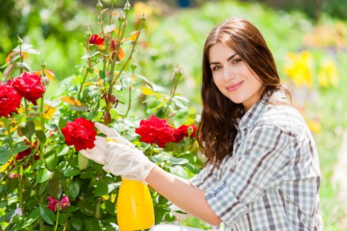 Expert landscaper consulting in a Parsons Green garden