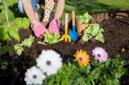 Eco-friendly landscaping with native plants