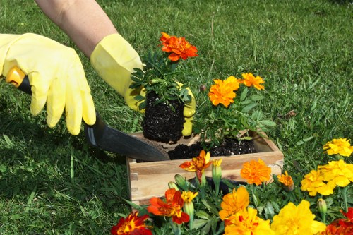 Sustainable landscape design with native plants and smart irrigation