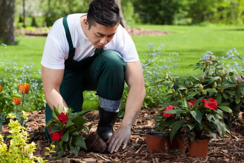 Close-up of maintenance and garden care in Frognal