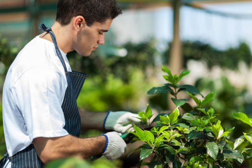 Professional landscaper working on garden design