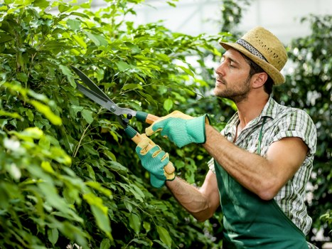 Local experts collaborating on a Tulse Hill landscaping project with traditional touches