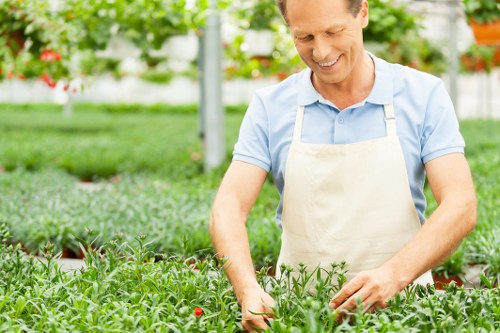 Expert landscaper working on lush garden