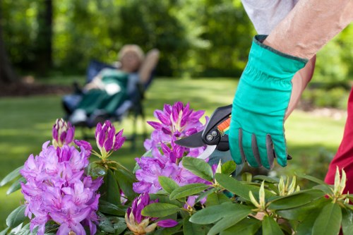 Professional landscaper providing maintenance tips