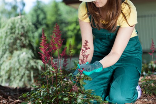 Professional landscapers working on a project in West Heath