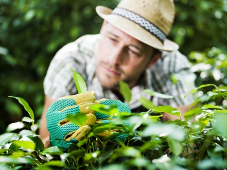 Expert landscaper working on a modern garden design in East Sheen