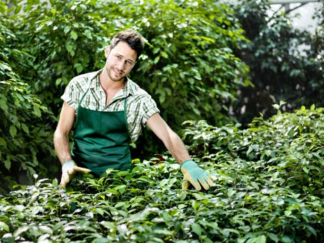 Professional landscapers working on Blackheath garden design