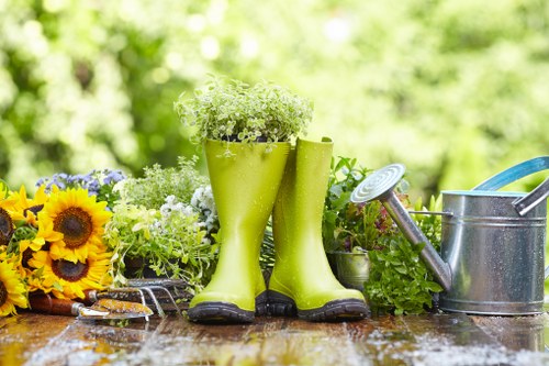 Community garden in an urban setting with vibrant plant life