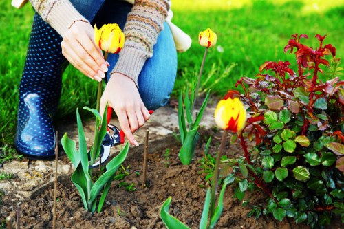 Landscapers in Eltham working on a lush garden with eco-friendly techniques