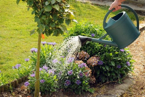 Community green space with modern sustainable landscaping